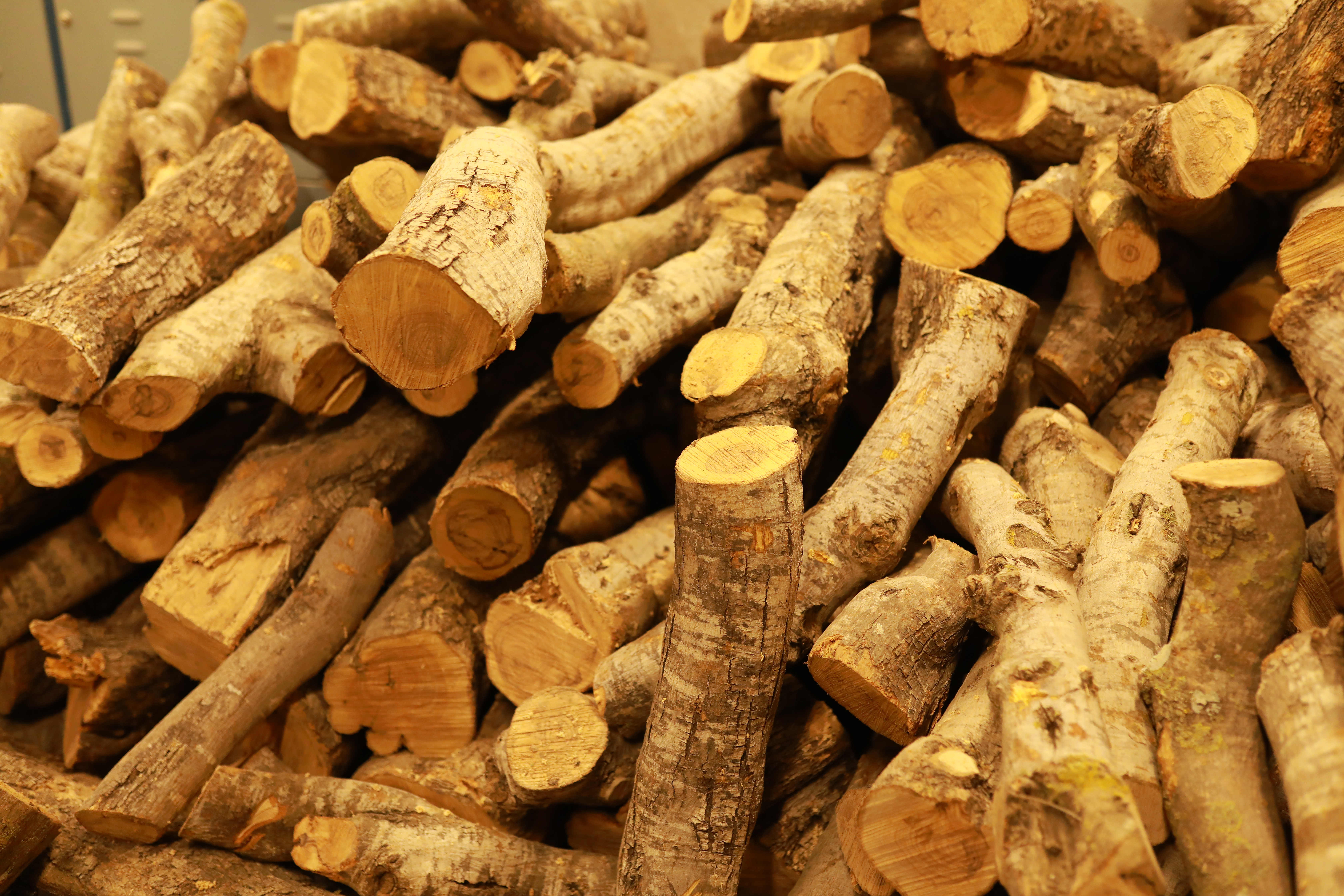 Olive Wood 