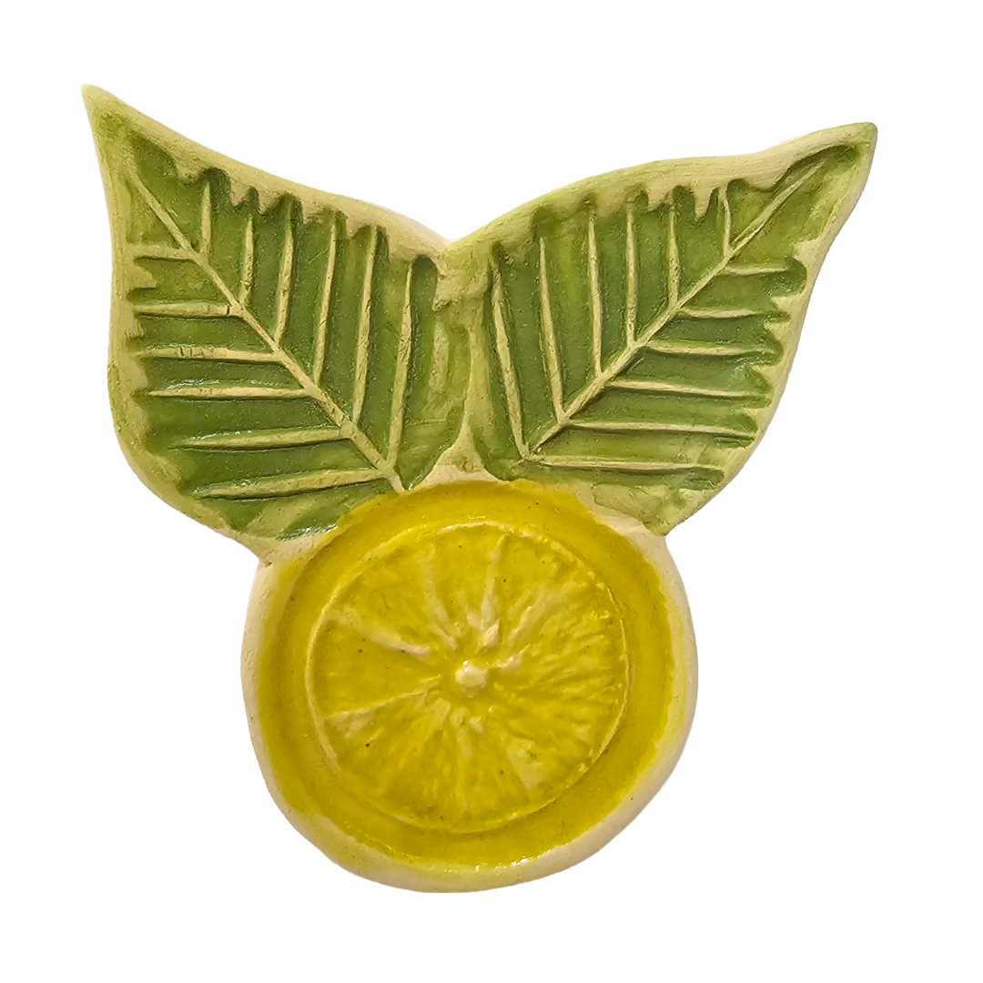 Ceramic Magnet