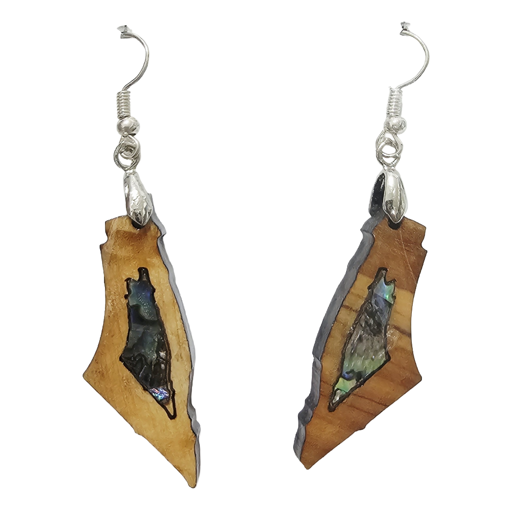 Mix Earring
