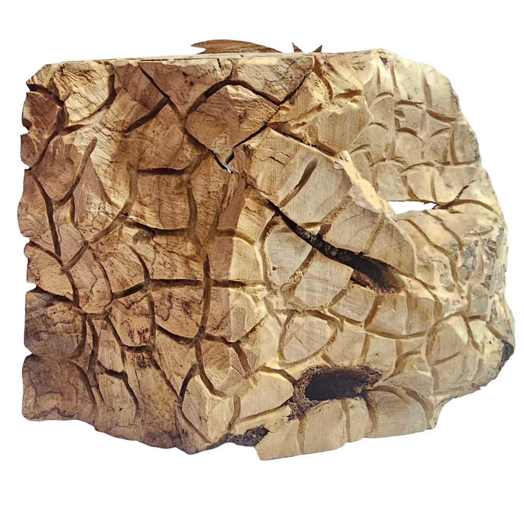 Nativity Set inside an Olive Wood Branch image 2